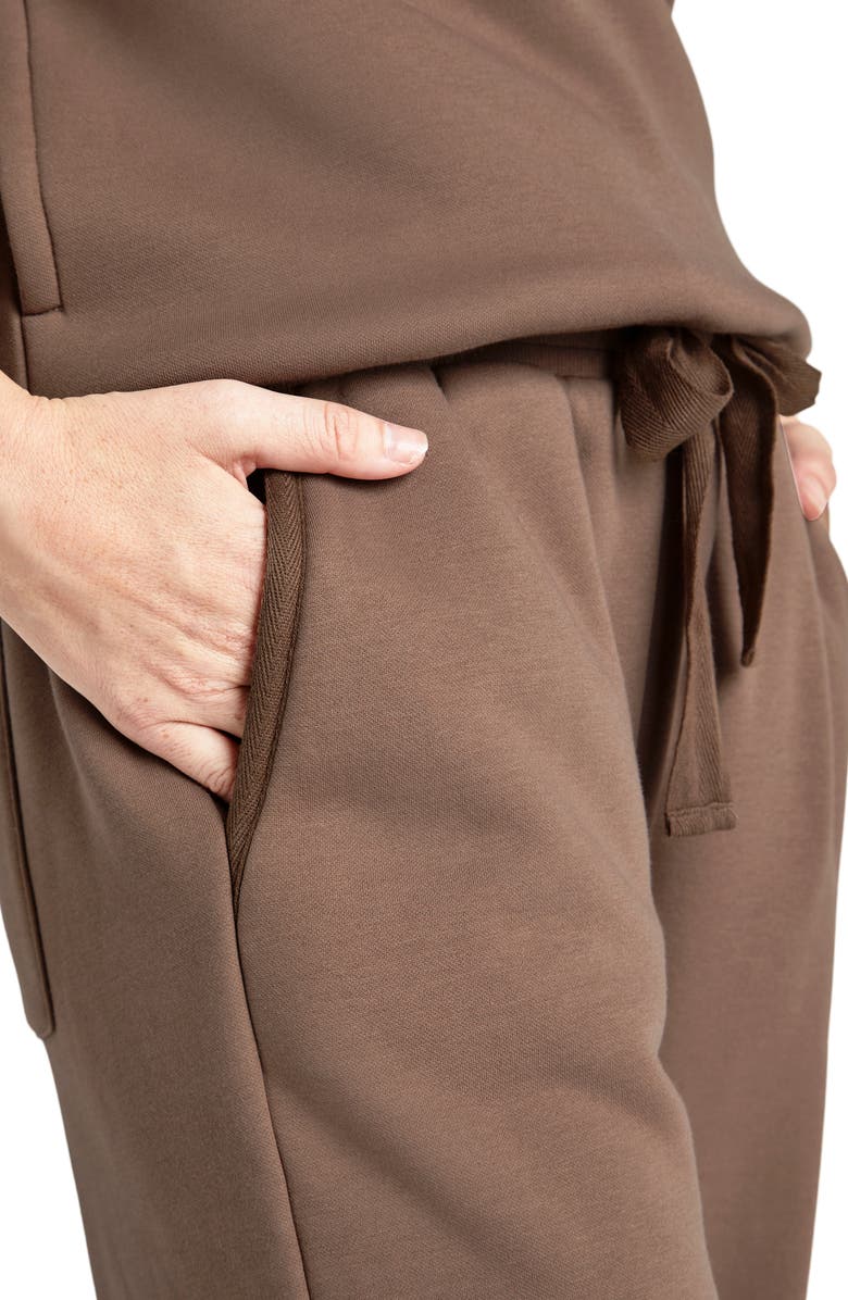 Splendid Goldie Drawstring Joggers, Alternate, color, Toffee
