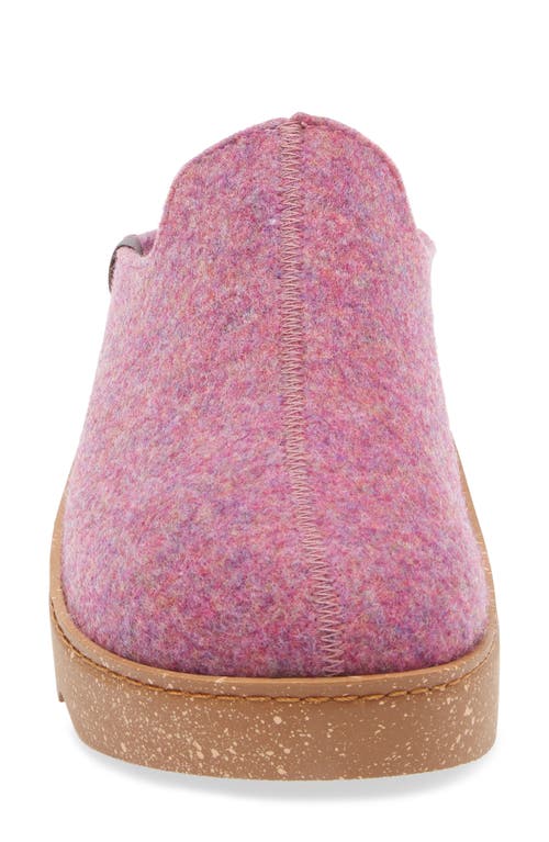 Toni Pons Joko Slipper In Purple