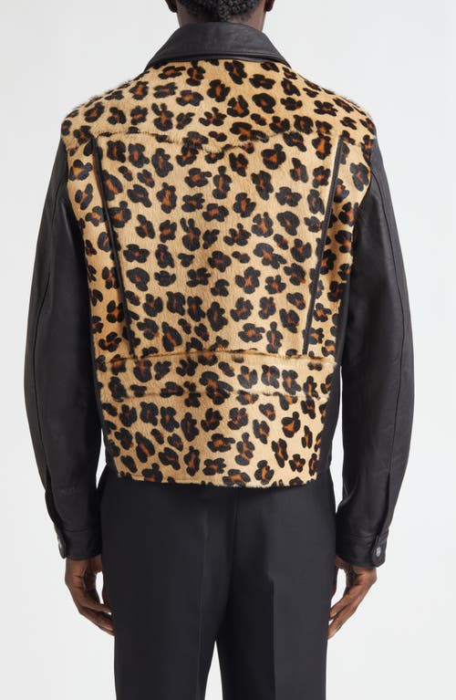 Second / Layer Second Layer Phreak Genuine Calf Hair & Leather Jacket In Multi