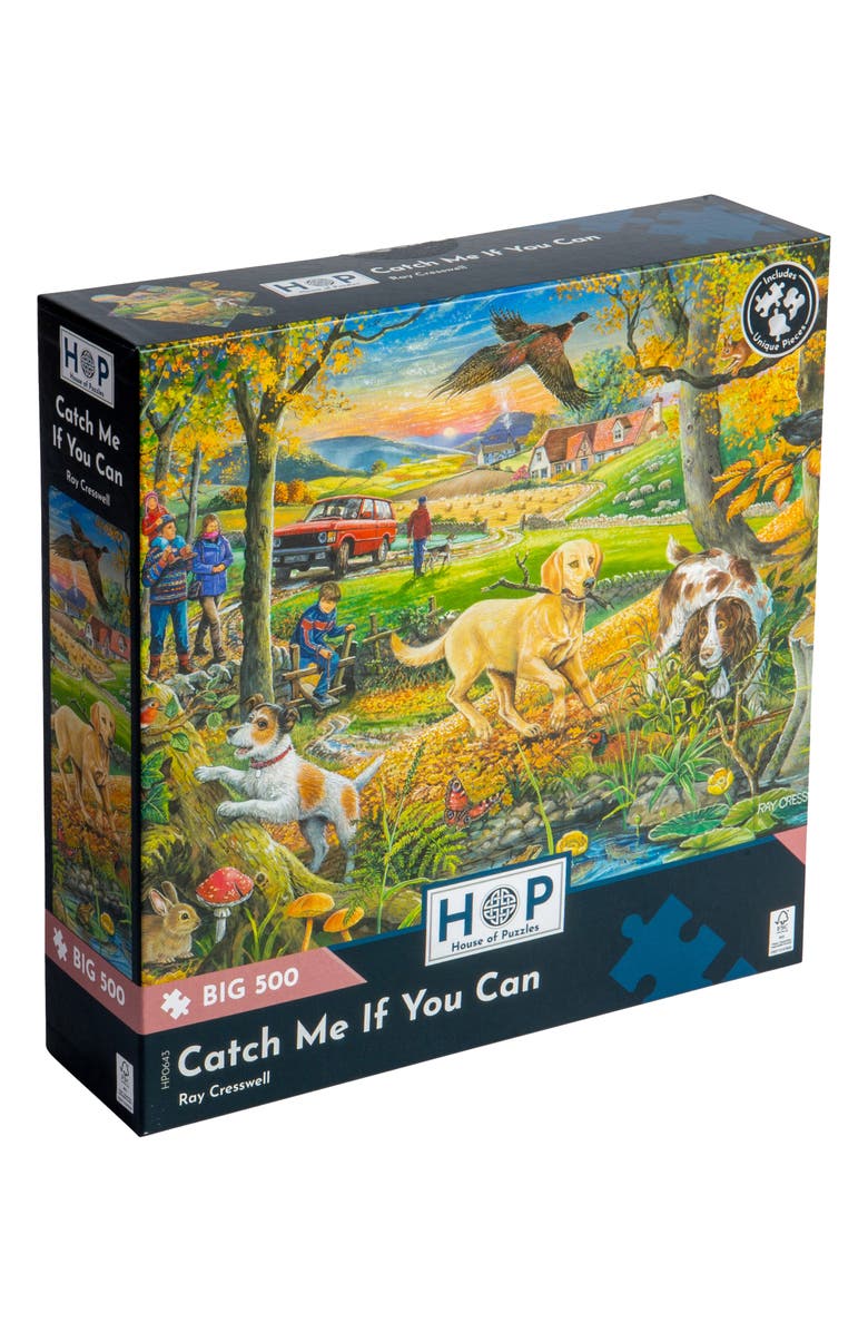 The House of Puzzles Catch Me If You Can Big 500-Piece Jigsaw Puzzle, Main, color, 