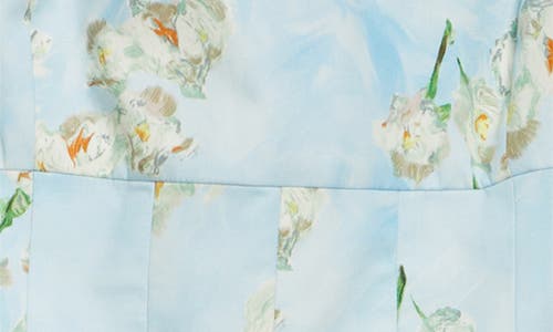 Emilia Wickstead Mini Mona Floral-print Cotton-poplin Mini Dress In Little Lillies On Blue