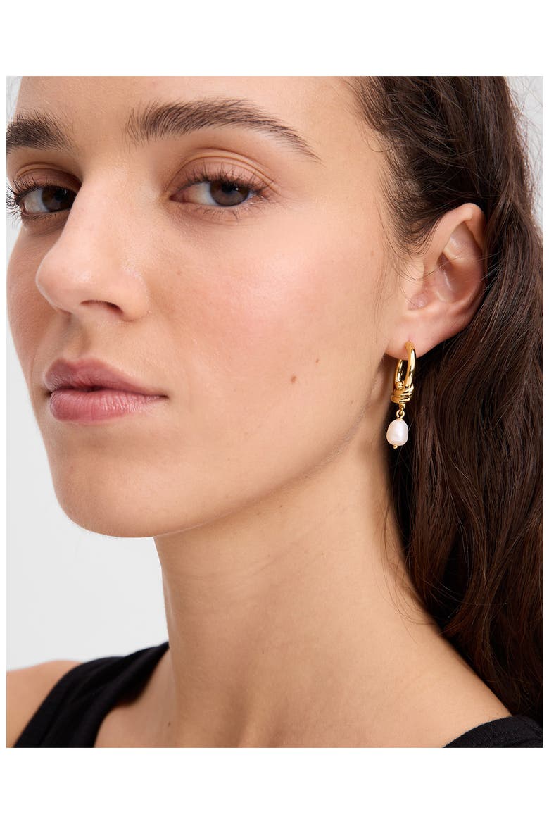 freshwater pearl hoop earrings, Alternate, color, CREAM/ GOLD.