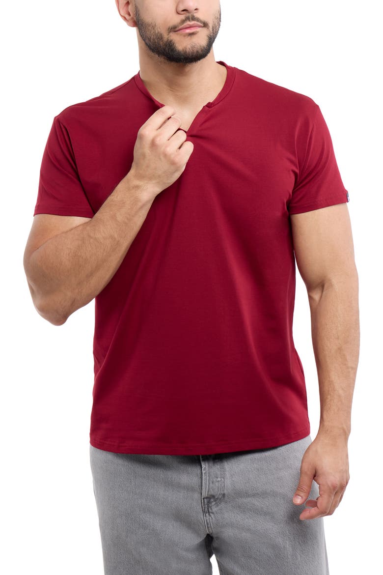 Split Neck T-Shirt, Alternate, color, BURGUNDY