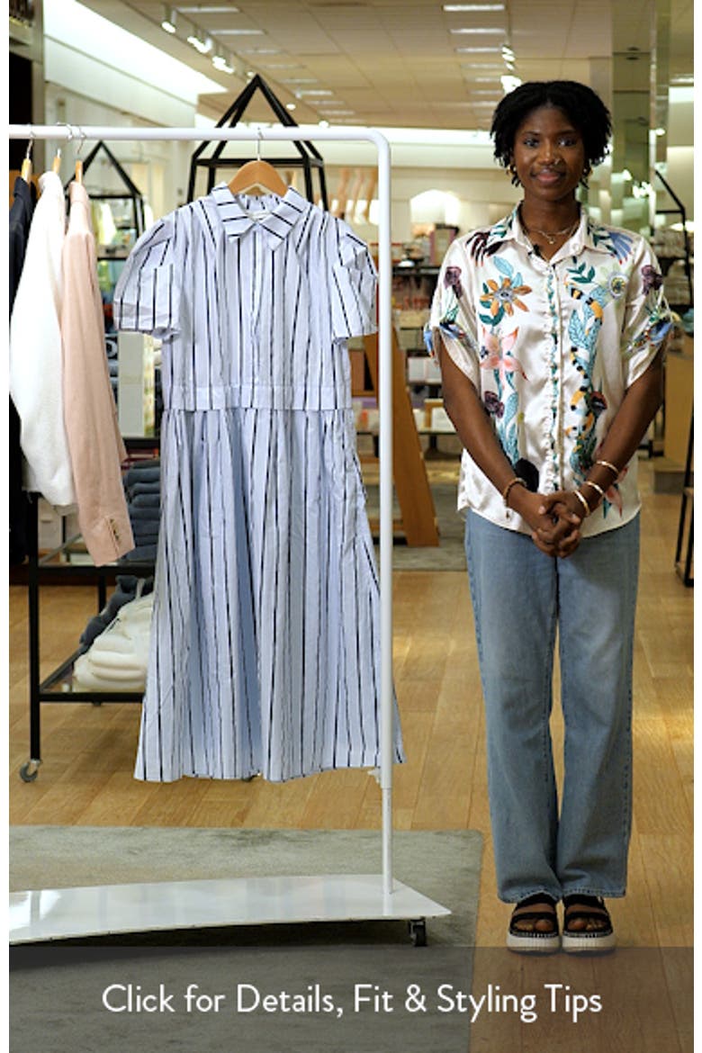 Stripe A-Line Dress video