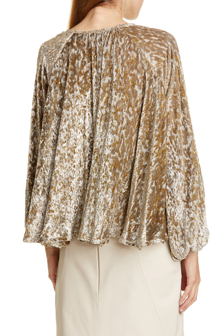 Embroidered Velvet Balloon Sleeve Top, Alternate, color, GOLD