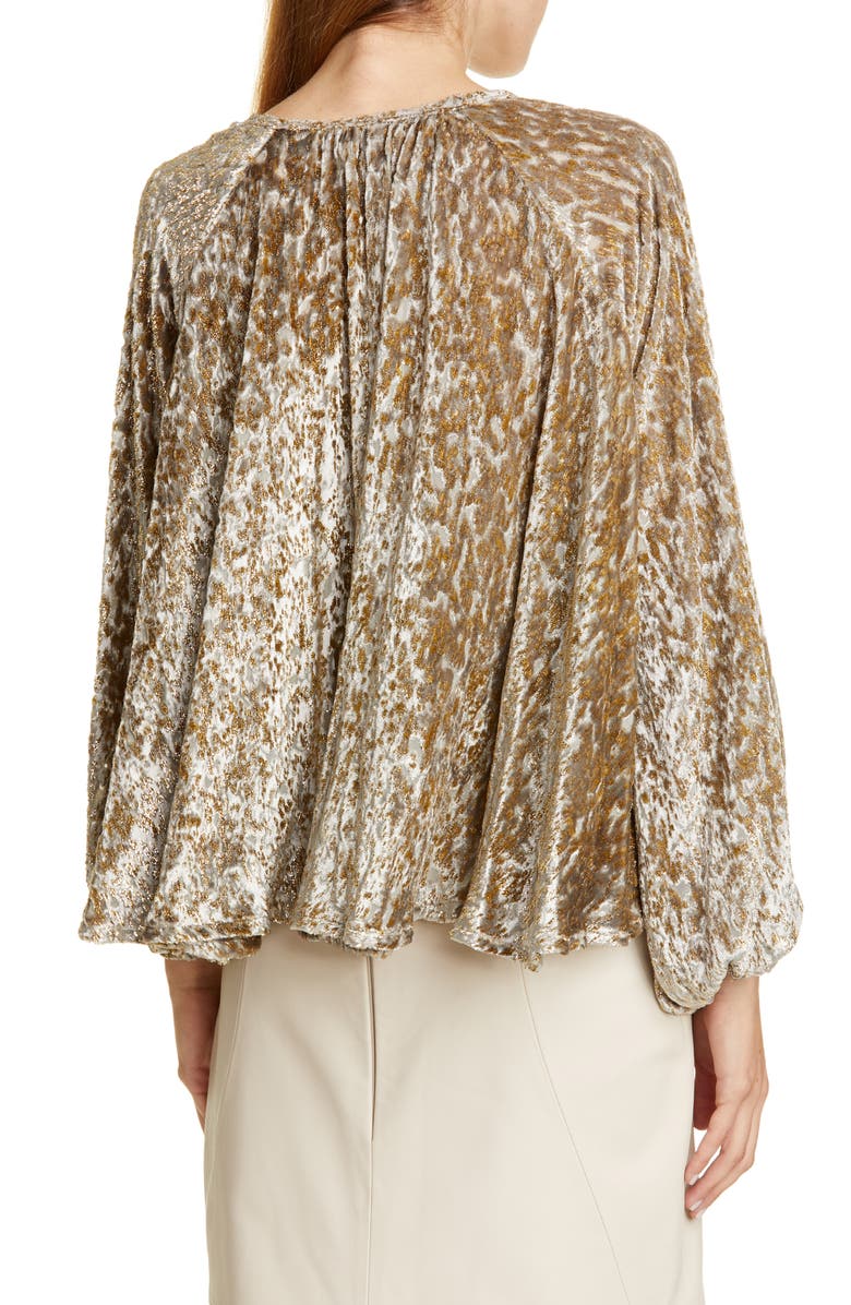 CO Embroidered Velvet Balloon Sleeve Top, Alternate, color, 