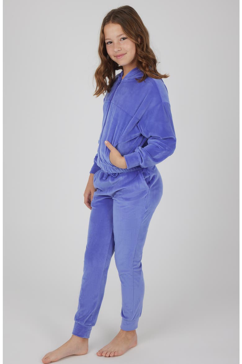 Kids' Velour Treasure Zip Jacket & Joggers Set, Alternate, color, VIOLET STORM