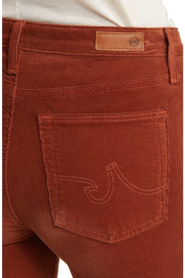 'Prima' Corduroy Skinny Pants, Alternate, color, SPICED MAPLE