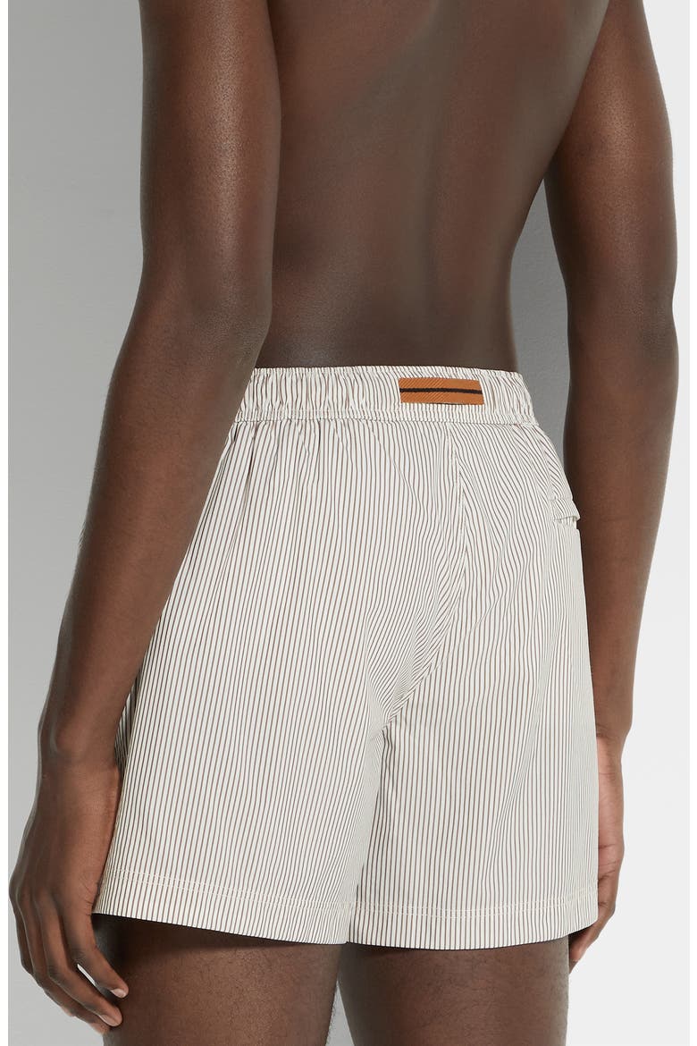 Pinstripe Swim Trunks, Alternate, color, WHITE STRIPED