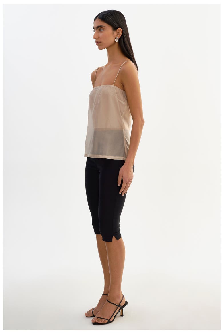 Delphine | Sheer Top, Alternate, color, Beige