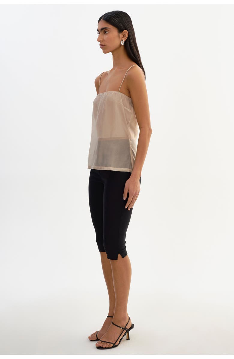 LAMARQUE Delphine | Sheer Top, Alternate, color, Beige
