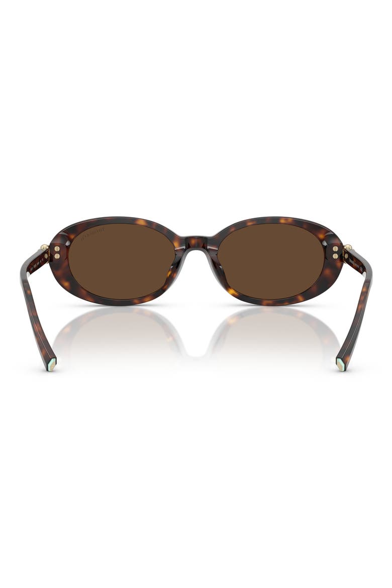 54mm Oval Sunglasses, Alternate, color, HAVANA / LIGHT BROWN