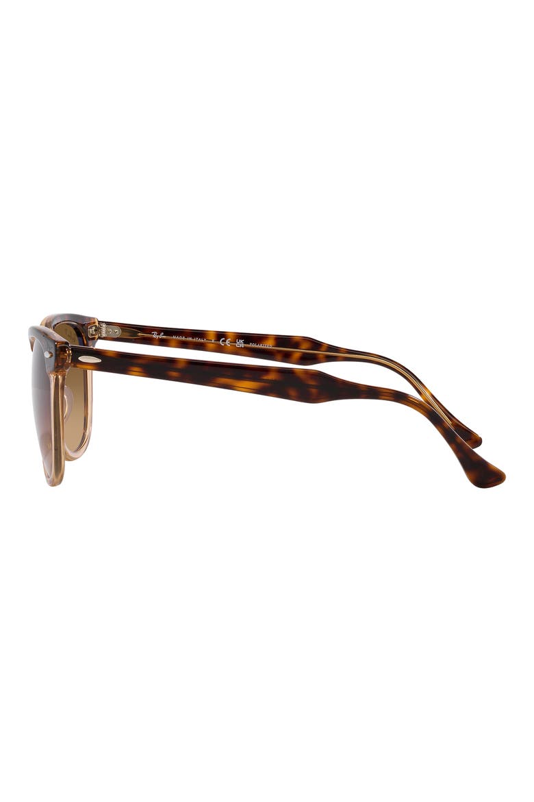 Eagle Eye 53mm Polarized Pillow Sunglasses, Alternate, color, HAVANA