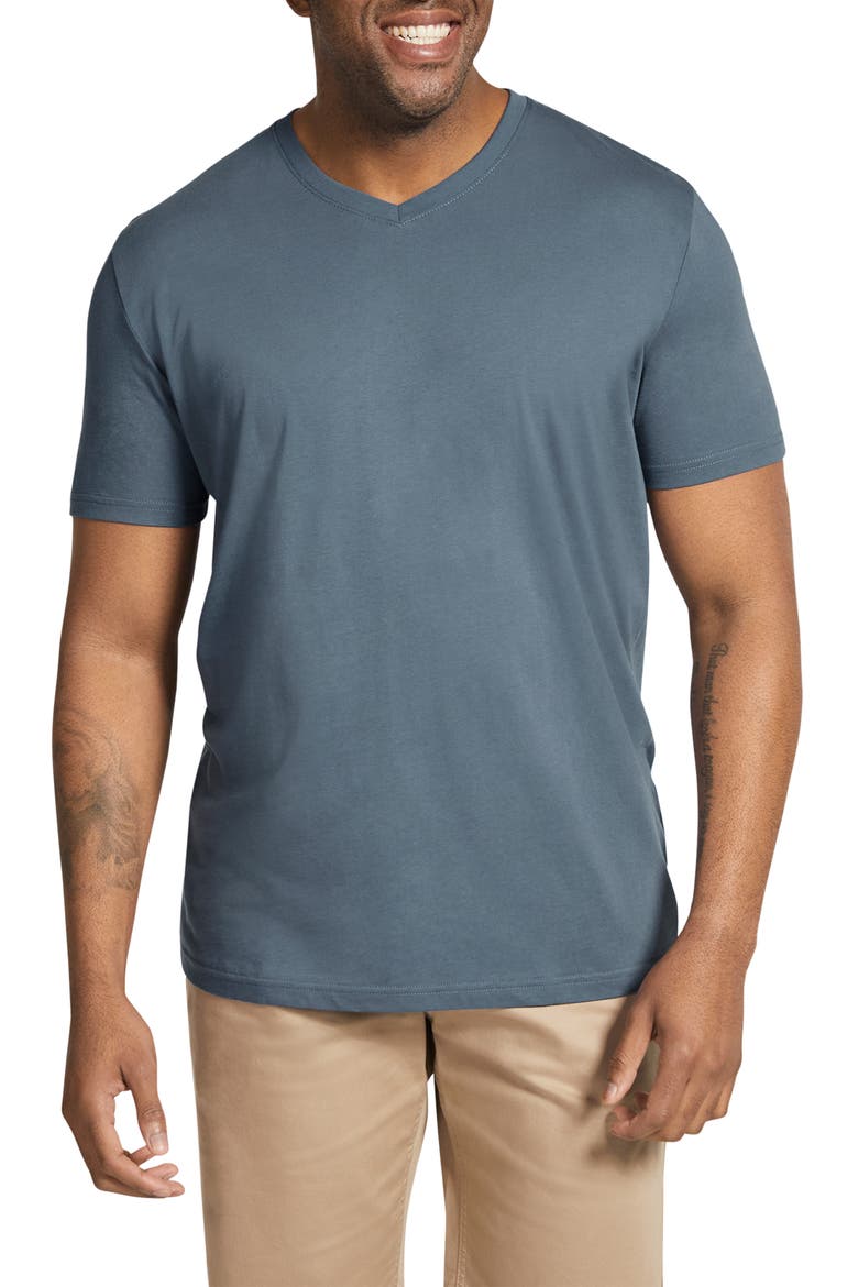 Essential Organic Cotton V-Neck T-Shirt, Main, color, DENIM BLUE