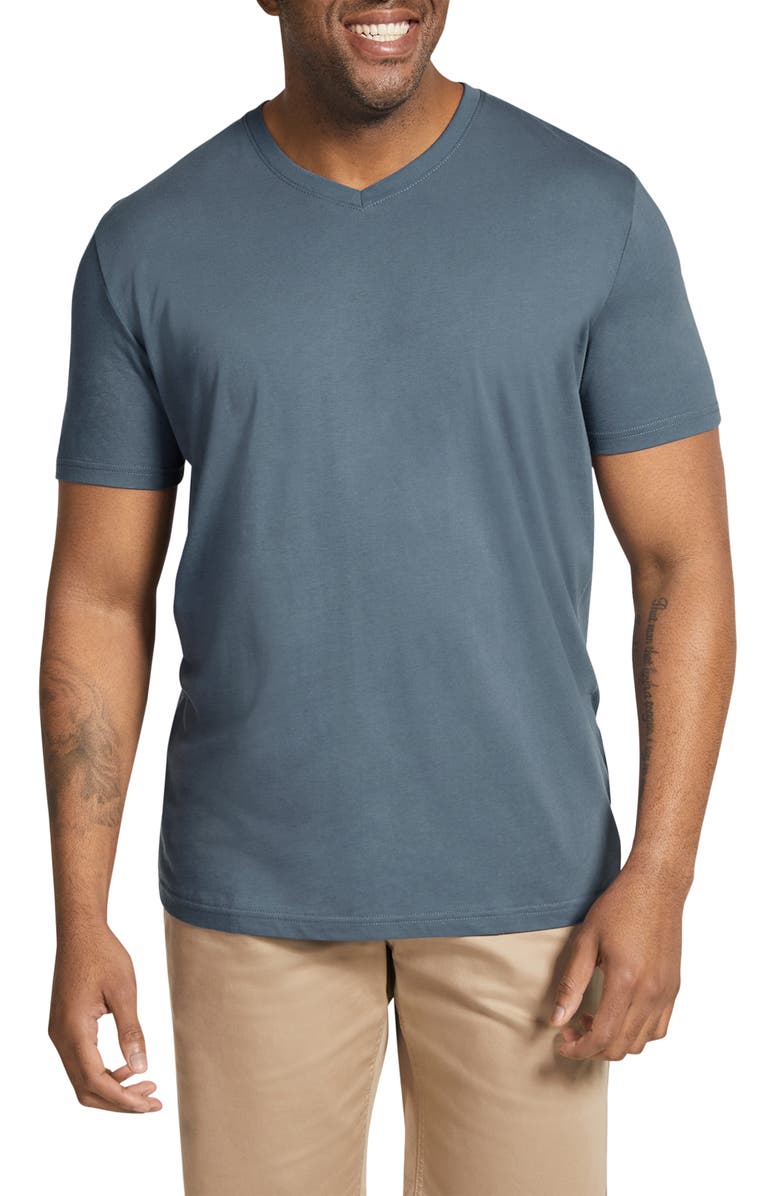 Johnny Bigg Essential Organic Cotton V-Neck T-Shirt, Main, color,