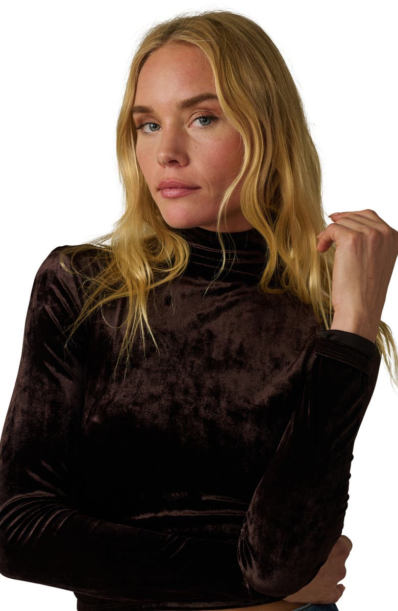 Joe's Jeans The Velvet Tony Turtleneck Top, Alternate, color, Cacao