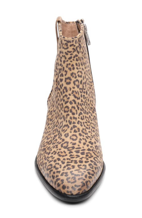 Ash Fame Bootie In Brown