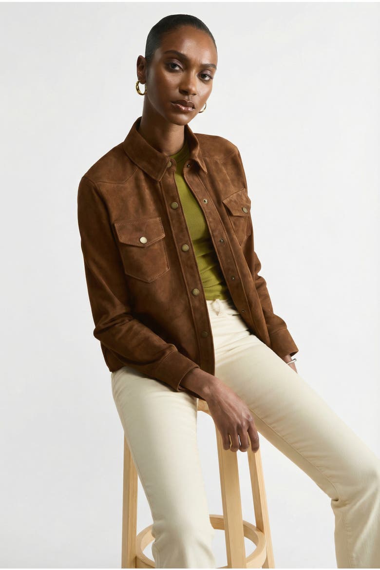 Juliet Suede Shirt, Alternate, color, Chestnut