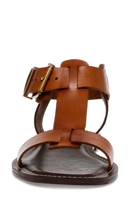 Steve Madden Brazinn Gladiator Sandal In Brown