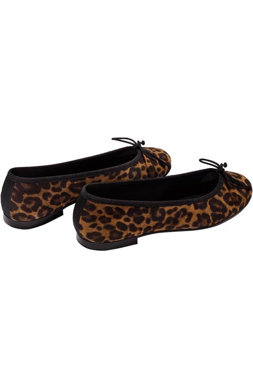Margaux The Demi Flat In Animal Print