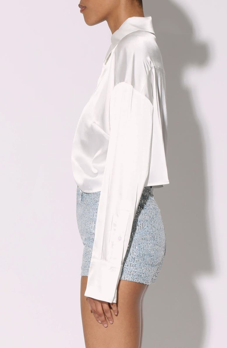 Walter Baker Montana Button-Up Shirt, Alternate, color, Ivory