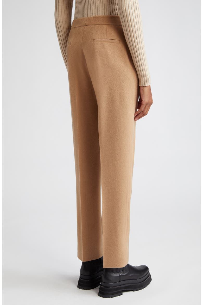 Clinton Camel Hair Ankle Pants, Alternate, color, CAMEL