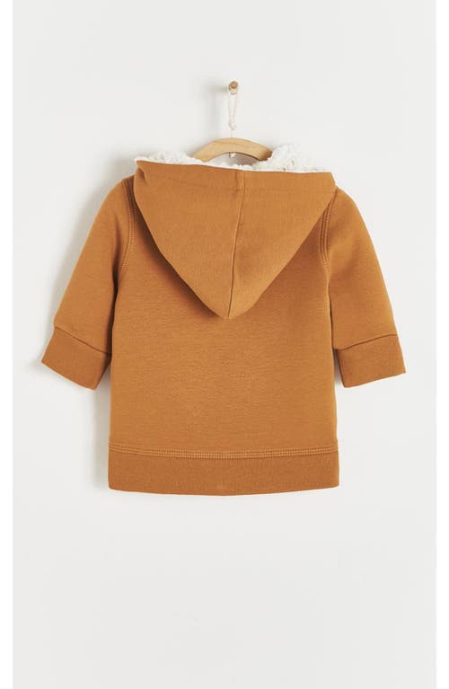 Babycottons Merlin Fleece & Teddy Fleece Hoodie In Camel
