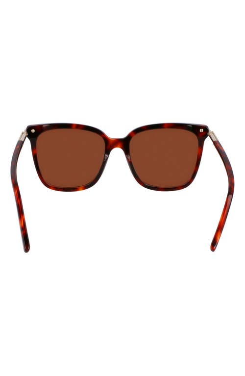 Ferragamo Prisma 56mm Modified Butterfly Sunglasses In Red Tortoise