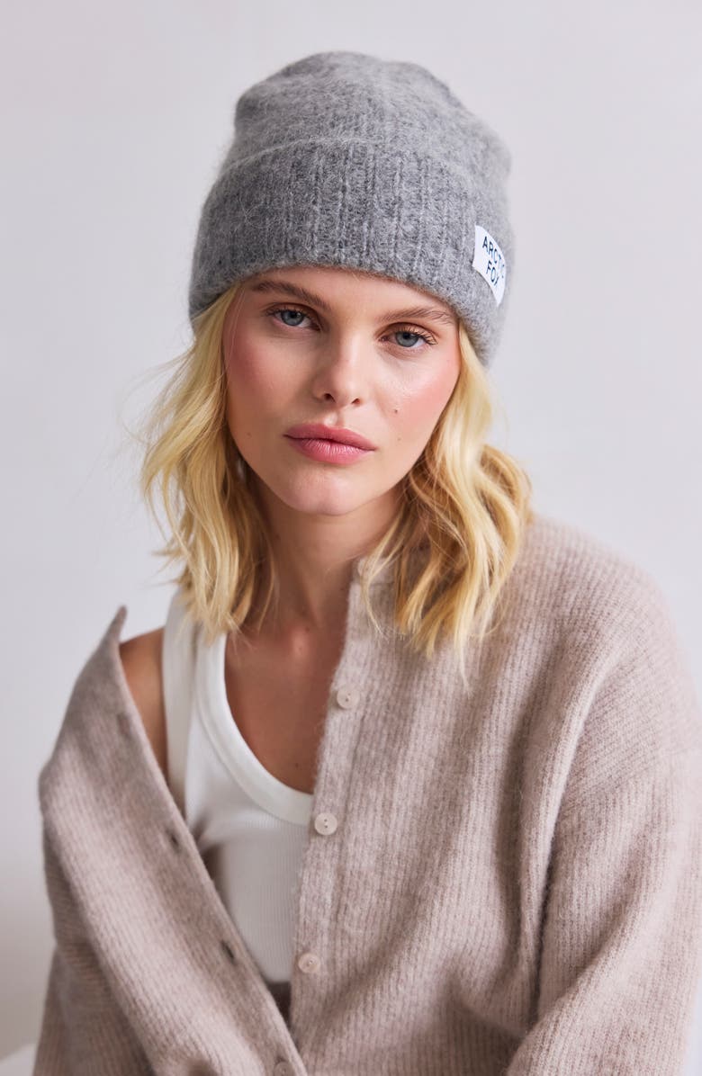 Arctic Fox & Co The Mohair & Merino Wool Blend Beanie, Alternate, color, Arctic Grey