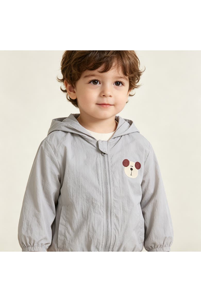 Pocket Hooded Jacket, Alternate, color, Grey