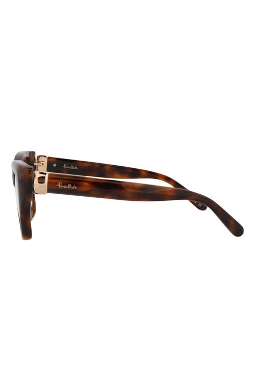 Pomellato Novelty 54mm Square Optical Glasses In Havana Havana Transparent
