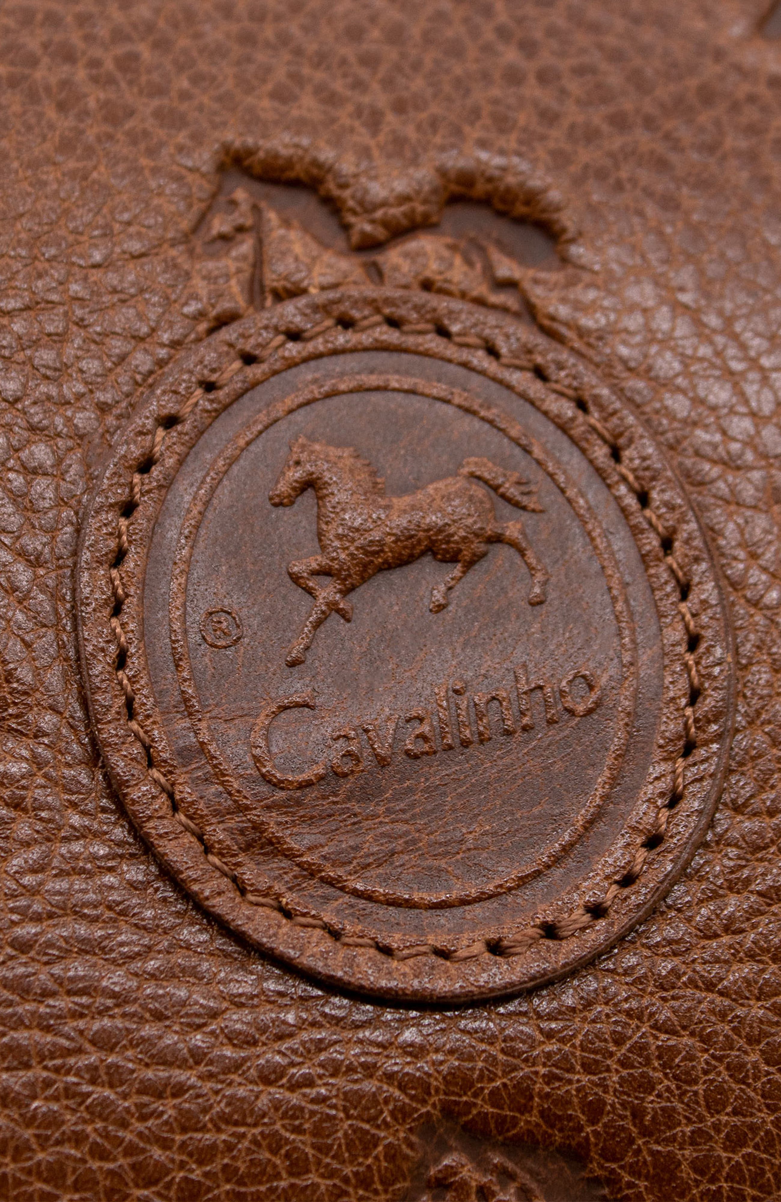 Cavalo Lusitano 373 Embossed Leather Crossbody Bag, Alternate, color, Camel Brown