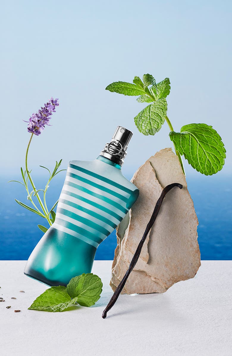 Jean Paul Gaultier Le Male Eau de Toilette Set, Alternate, color, 