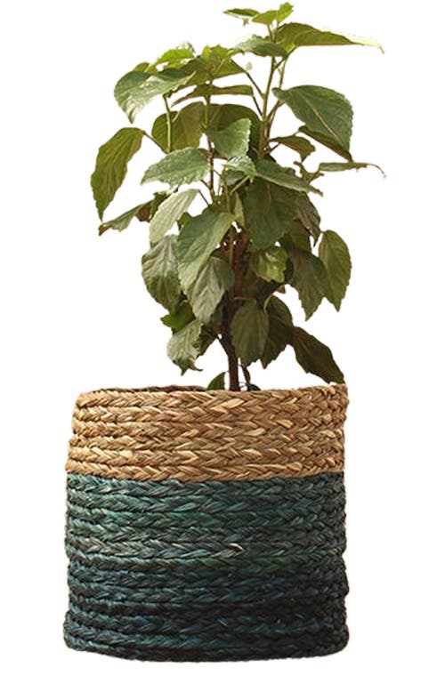 Kadam Haat Babui Eco-Pot in Indigo  product