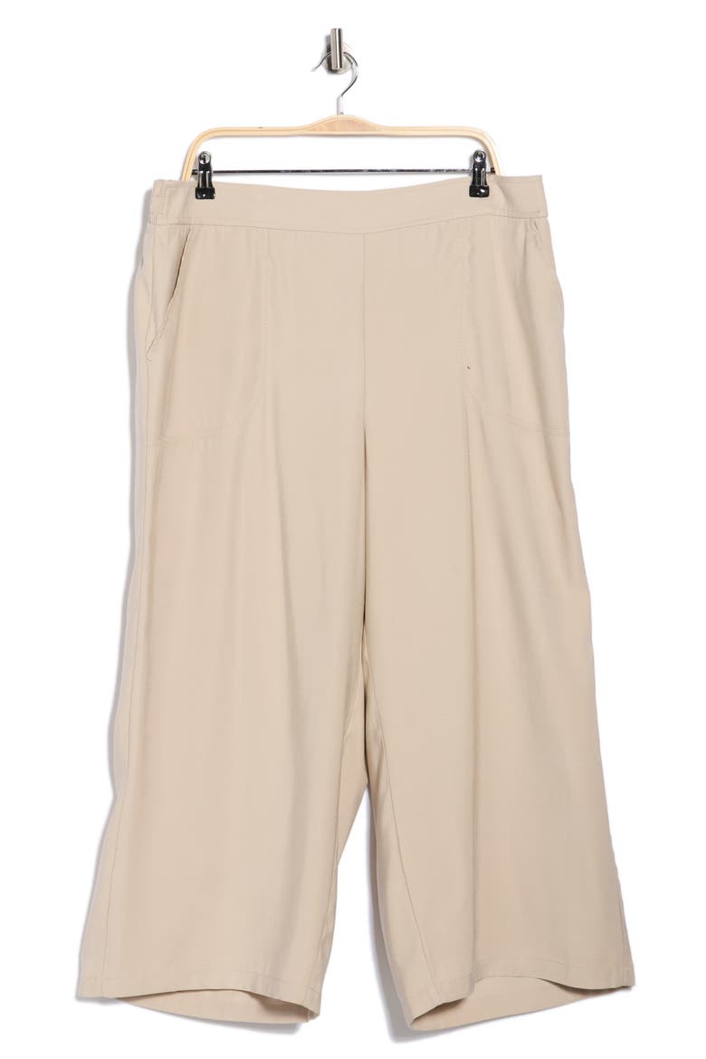 Brushed Twill Crop Wide Leg Pants, Alternate, color, PUMICE-PUMICE