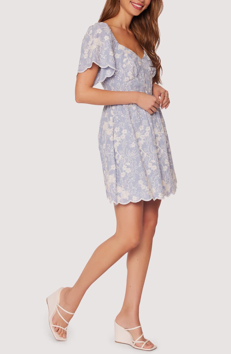Lost + Wander Springtide Embroidered Flutter Sleeve Minidress, Alternate, color, 