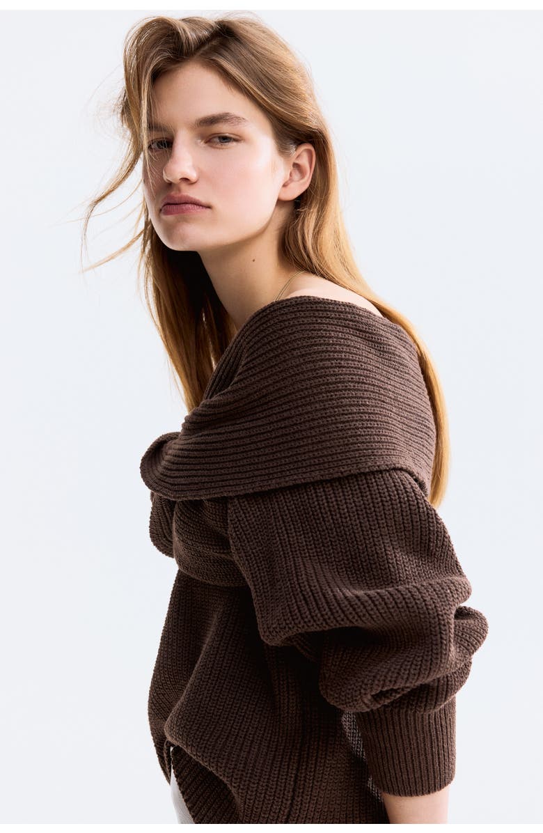 H&M Off-the-shoulder Jumper, Alternate, color, Dark Brown