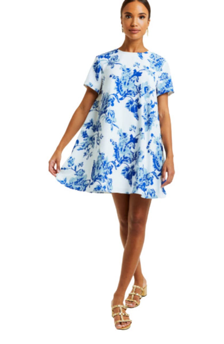 Mestiza New York Cecily Mini Dress, Main, color,
