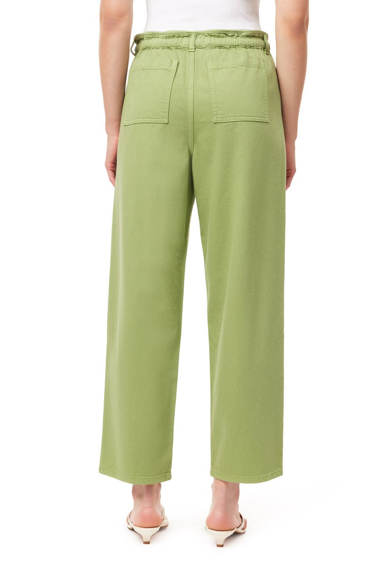 Drawstring Surplus Crop Barrel Pants, Alternate, color, GREEN EYES
