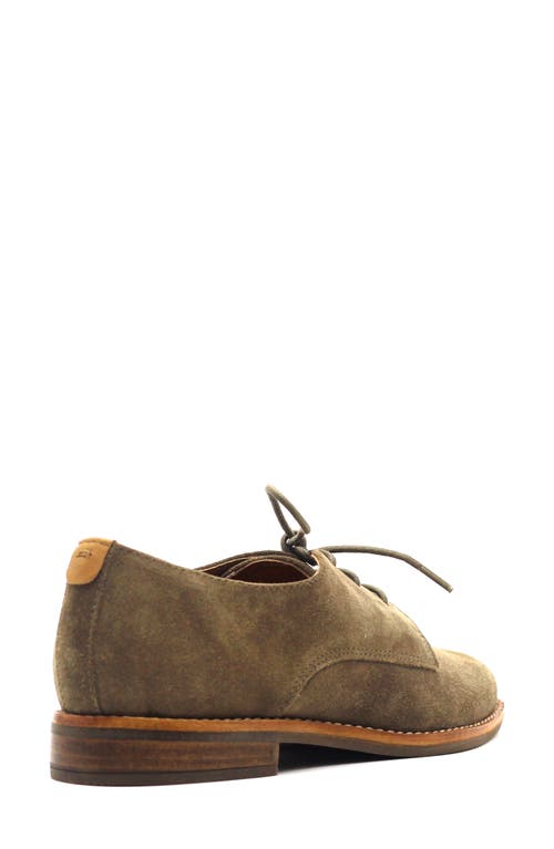Gentle Souls Aronson Derby In Brown