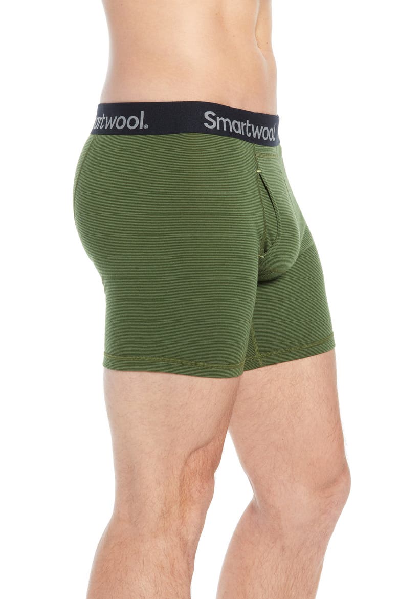 150 Merino Wool Blend Boxer Briefs, Alternate, color, CHIVE