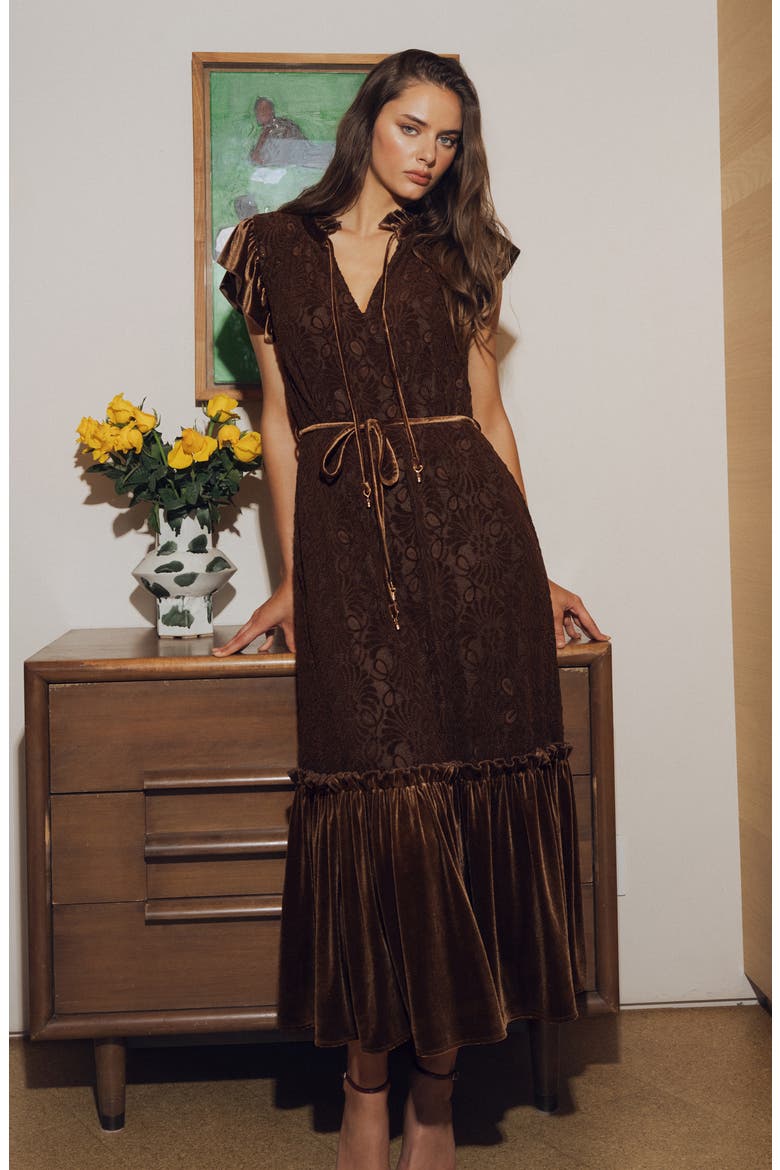 Hilma Velvet Trim Lace Maxi Dress, Alternate, color, BROWN