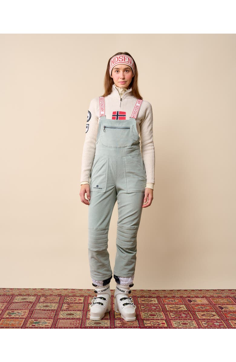 Amundsen Concord Ski Pants Womens, Alternate, color, Natural