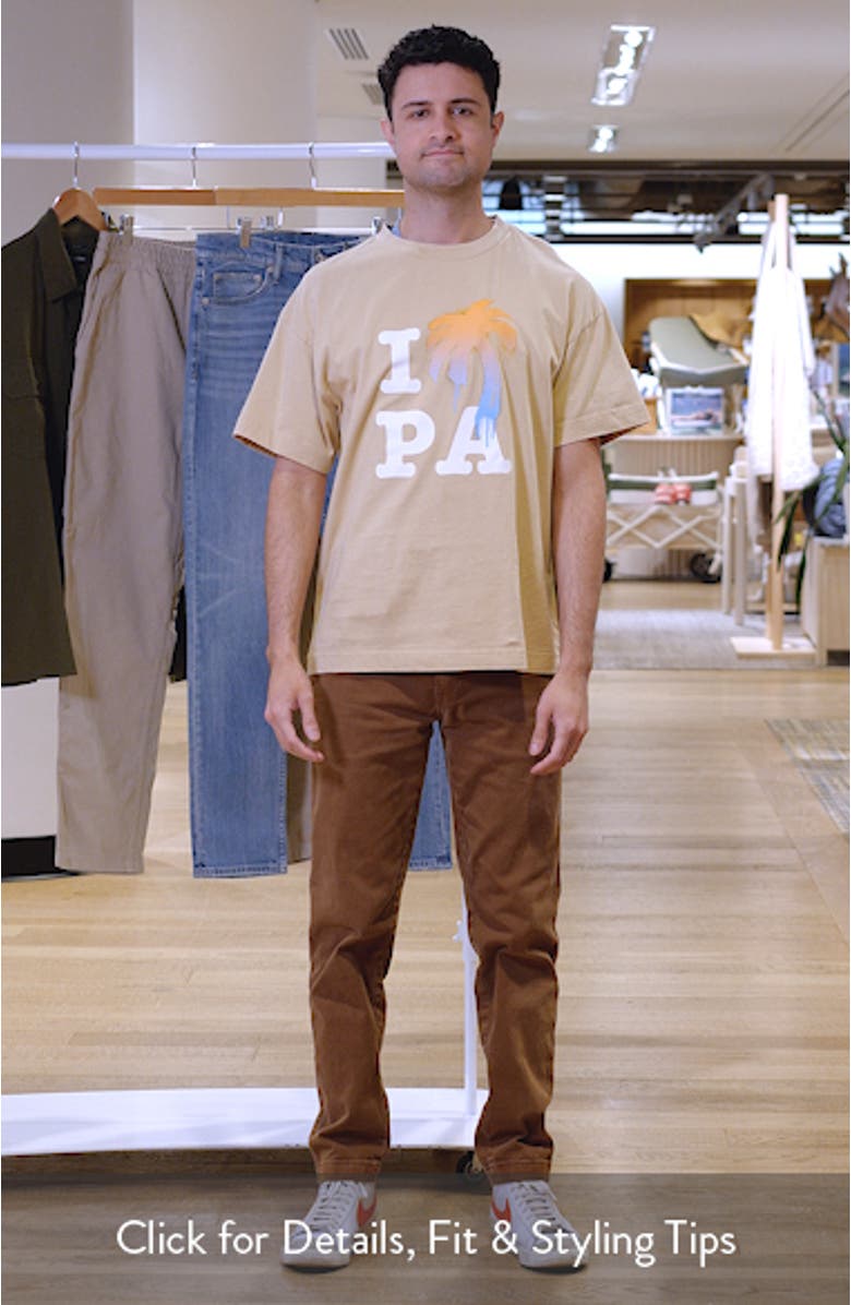 Regular Fit I Love PA Graphic T-Shirt, sales video thumbnail