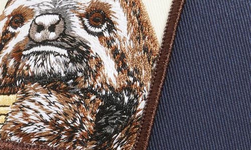 Goorin Bros . Sloth Colorblock Trucker Hat In Blue