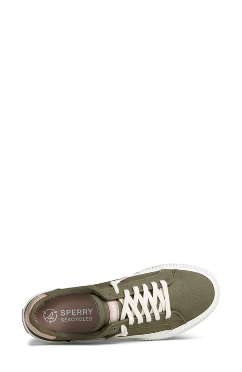 Sperry Top-sider® Sperry Bermuda Sneaker In Khaki