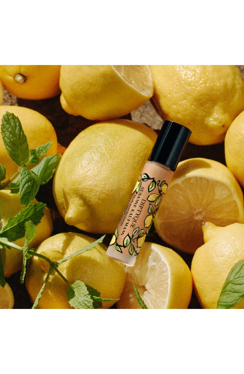 Diptyque x Susanne Kaufmann Lip Oil, Alternate, color, 