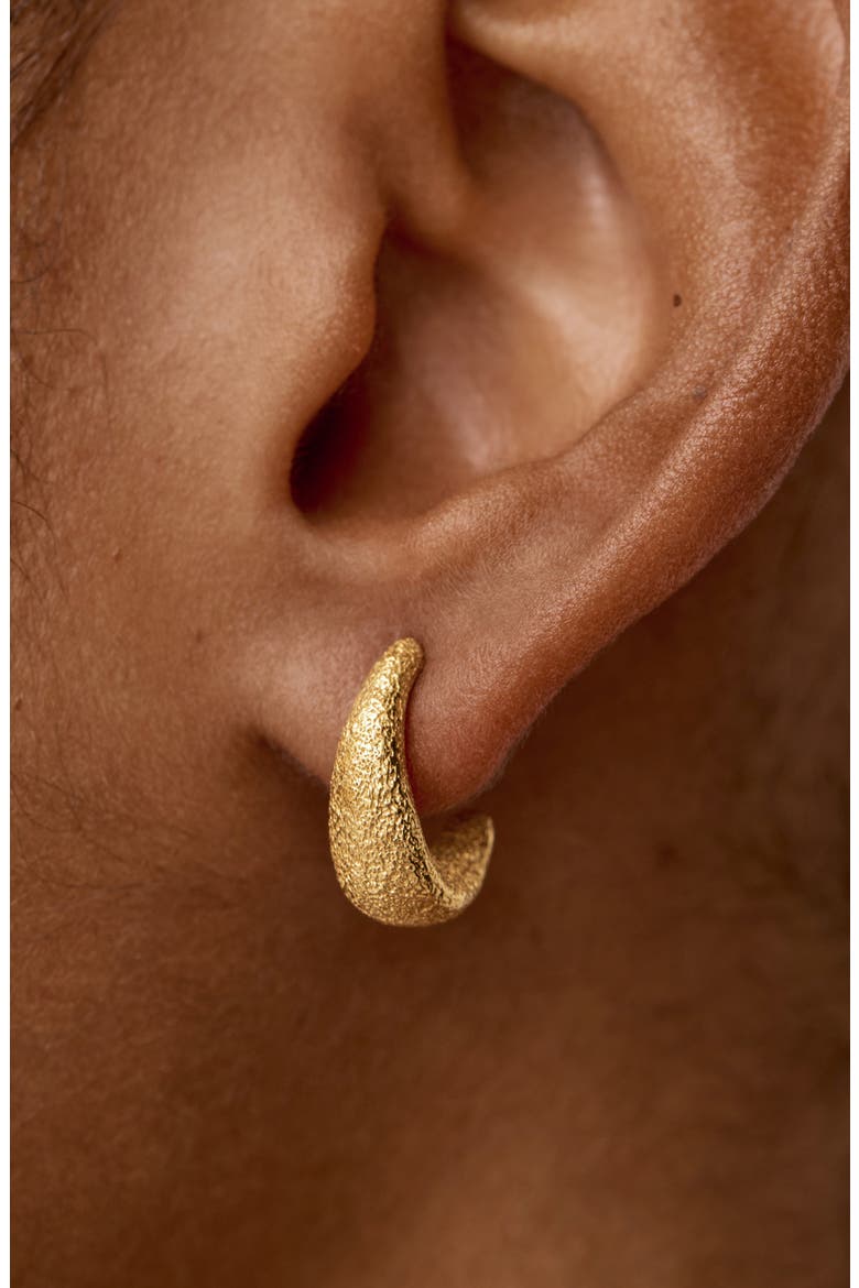 Small Antica Texture Hoop Earrings, Alternate, color, 18CT GOLD VERMEIL
