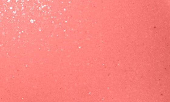 GRAPEFRUITS