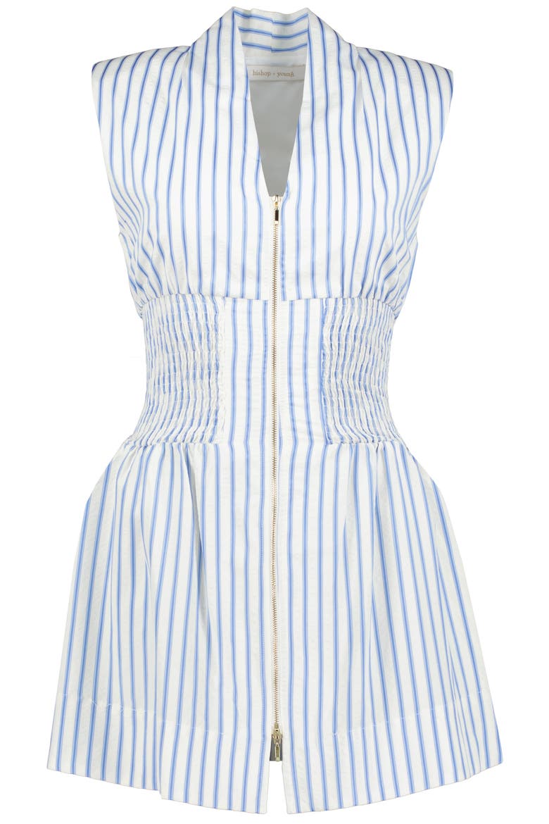 Serene Zip Front Mini Dress, Alternate, color, Blue Serene Stripe